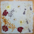 /album/papierove-listy-z-recyklovatelneho-materialu-herbar/p1540503-jpg/